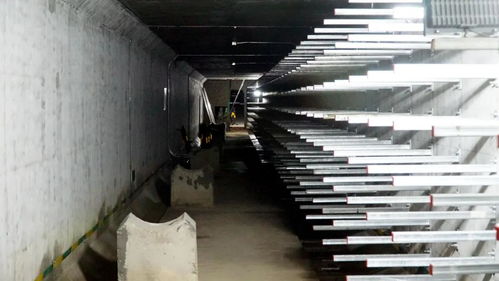 打造城市“生命線”，東海岸新城綜合管廊全面啟動(dòng)機(jī)電設(shè)備安裝